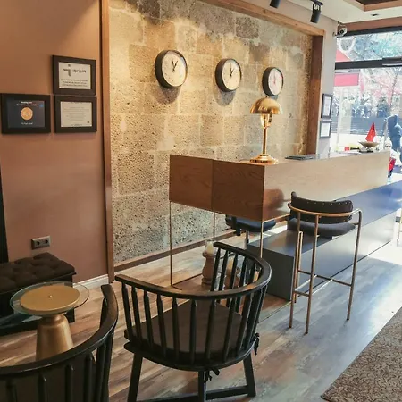 酒店 Ts公园酒店 特拉布宗