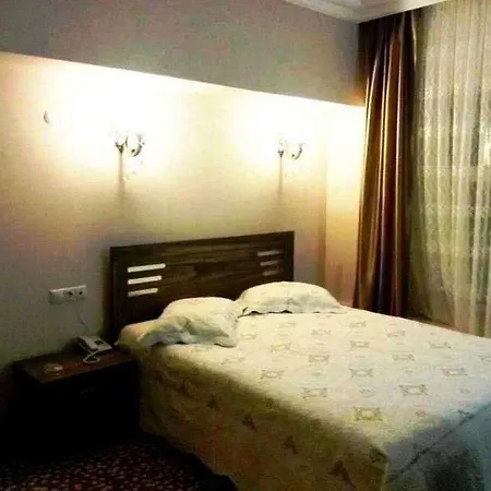تي إس بارك فندق
