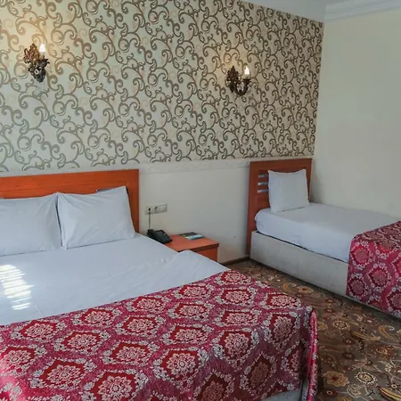 فندق تي إس بارك 3*